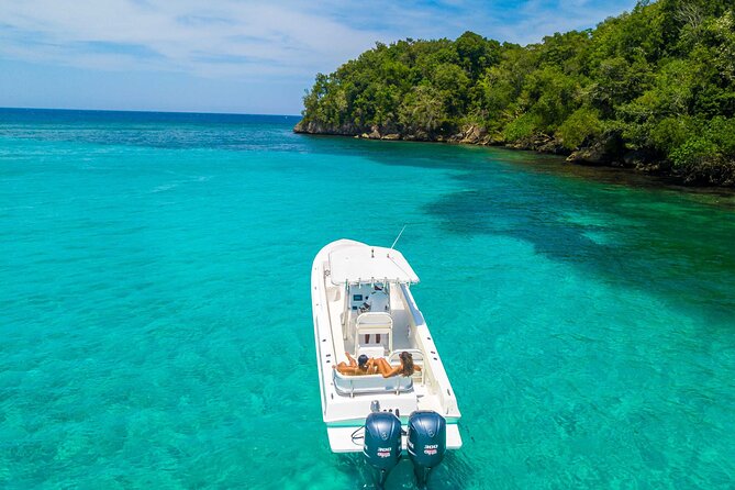 Ocho Rios Powerboat & Dunn’s River Falls Adventure - Who Should Book This Tour in Ocho Rios