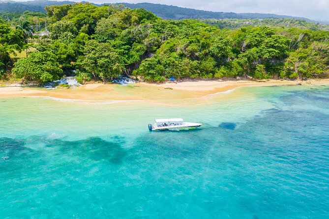 Ocho Rios Powerboat & Dunn’s River Falls Adventure - Laughing Waters Swim and Snorkeling: What to Expect (and What to Do Well)