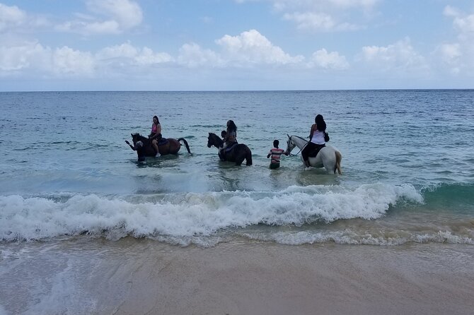 Ocho Rios Private Horse Riding, River Tubing and Rafting[Entry fee not included] - Service quality: why Andrae keeps showing up in the notes
