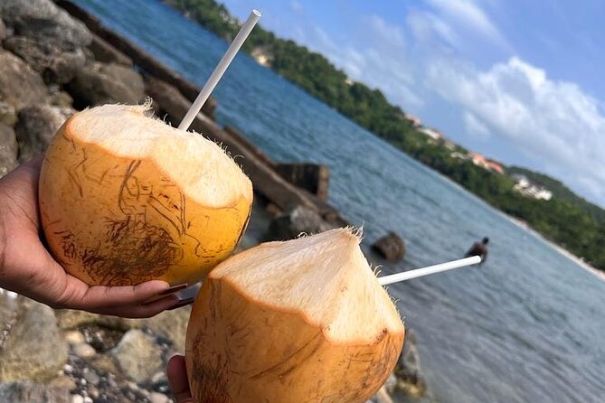 Ocho Rios Sightseeing Tours and Shopping - Where Ocho Rios Fits Into Your Jamaica Plan