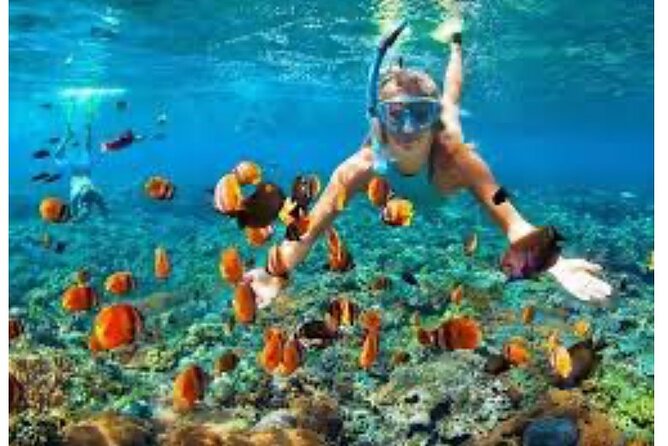 Party Catamaran and Snorkeling Tour in Montego Bay - Should You Book This Party Catamaran and Snorkeling Tour?