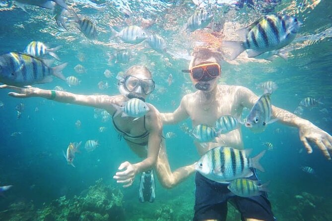 Party Catamaran Cruise with Open Bar and Snorkeling Montego Bay - Who This Party Boat Is Best For