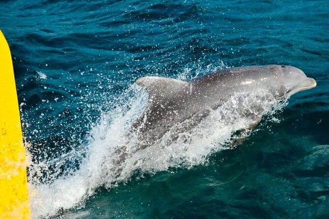 PARTY Catamaran Cruise with Snorkeling Rick's Cafe ADULTS ONLY - Who This Fits Best (and Who Should Skip It)