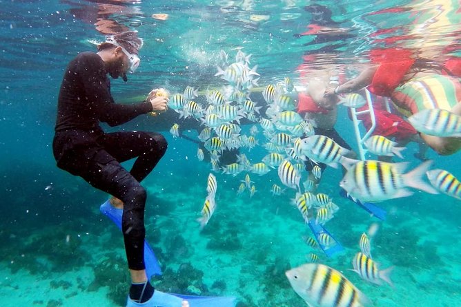 Party Catamaran: OpenBar, Music, Negril Beach, Caves, Snorkeling - Snorkeling on the Way Out: What You Get and What to Do With It