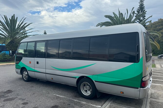 Private Airport Transfer from MBJ to Ocean Eden Bay - Price and value: why $38 per person can make sense