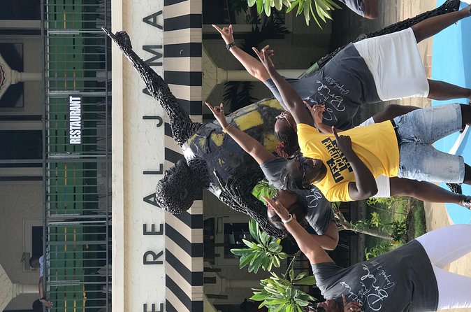 Private and customizable Ocho Rios day tour - Meeting Up, Pickup, and Staying Comfortable in Ocho Rios