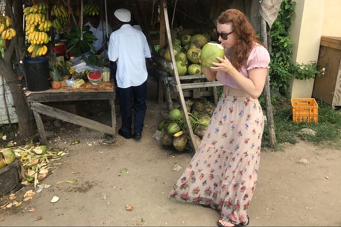 Private and Customize Highlight Tour to Montego Bay from Falmouth - Key things you should know before you go