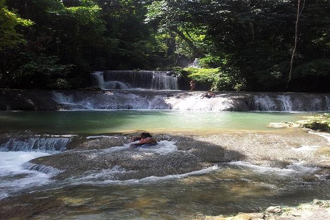 Private Appleton Estate Rum & YS Falls Tour from Montego Bay - Best for couples, small groups, and people who want balance