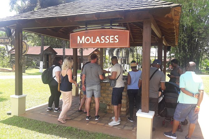 Private Appleton YS Falls and Black River Tour from Montego Bay - Key things to know before you go