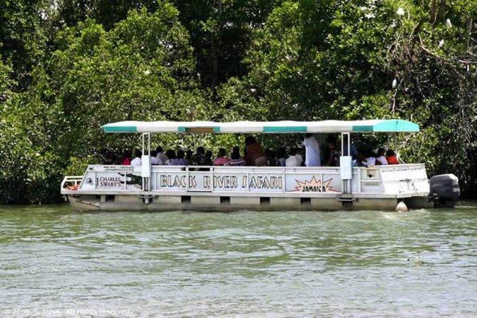 Private Appleton YS Falls and Black River Tour from Montego Bay - Appleton Estate Rum Experience: documentary, sugarcane samples, and the tasting flow