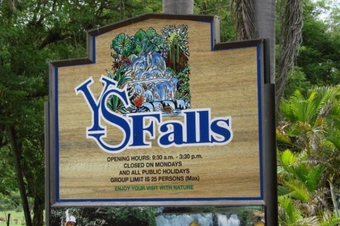 Private Appleton YS Falls and Black River Tour from Montego Bay - Black River safari cruise: learning birds and spotting crocodiles