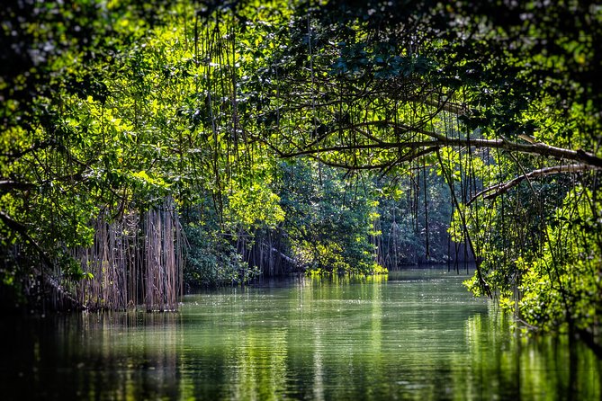 Private Appleton YS Falls and Black River Tour from Montego Bay - What to pack so the day feels fun, not annoying