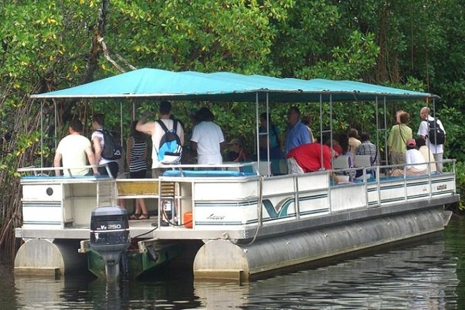 Private Appleton YS Falls and Black River Tour from Montego Bay - Getting there the smart way: 7:00am start, hotel pickup, and real road time