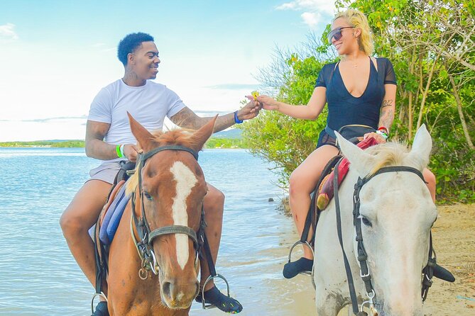 Private ATV, Horse Back Ride & Blue Hole Experience in Ocho Rios - Entering The Day: Ocho Rios meeting point, private pacing, and what “3 hours 15 minutes” really means