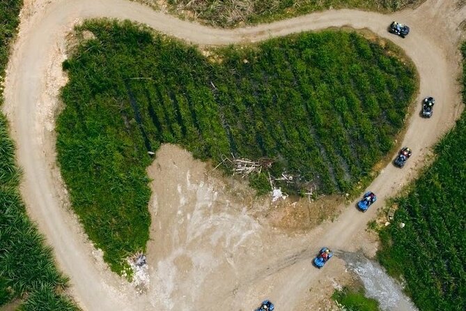 Private ATV Ride 7 Mile Beach & Rick’s Café Negril Tour - Why This Montego Bay to Negril Private Day Works So Well