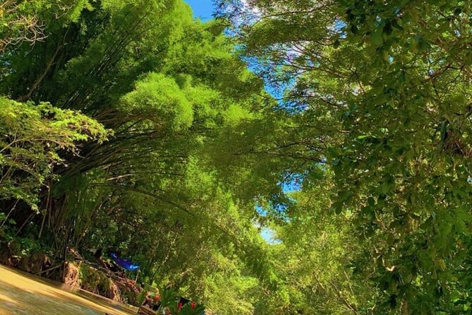 Private Bamboo River Rafting & Foot Massage from Montego Bay - Price and value: is $65 per person a good deal?