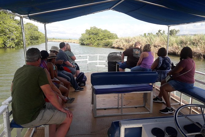 Private Black River Safari Tour from Montego Bay - The open-air boat ride: your 1-hour window to spot wildlife