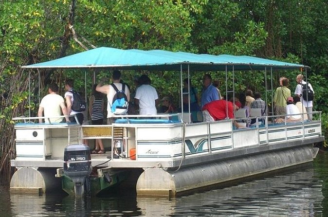 Private Black River Safari Tour from Montego Bay - Rural Jamaica on the drive: mountains, countryside, and the real Jamaica feel