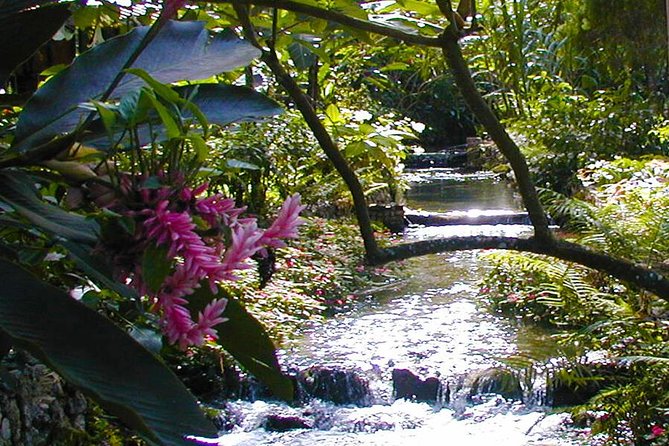 Private Combo Tour From Ocho Rios To Blue Hole & Konoko Falls - What You’ll Love Most: Private Pickup, A/C Comfort, and Real Time in the Water