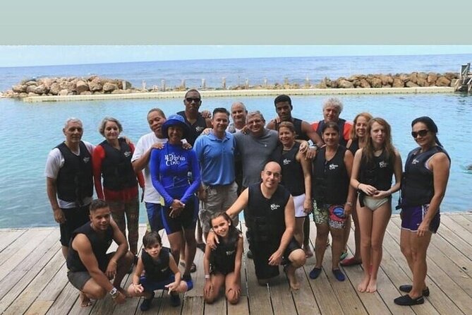 Private Dolphin Cove Adventure - Why a private Dolphin Cove adventure is a strong Montego Bay choice