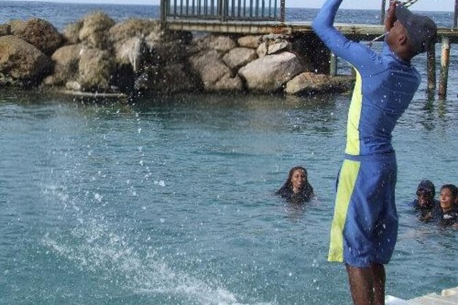 Private Dolphin Cove Adventure - Price and value: is $250 per person fair?