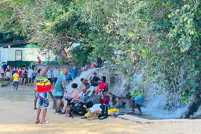 Private Dunn’s River Falls Experience + Blue Hole Secret falls - A Waterfall-and-Jungle Day That Feels Personal, Not Rushed