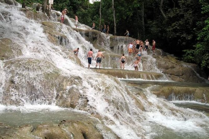 [PRIVATE] Dunn's River Falls with Entrance Fees - Dunns River Falls in real life, terraced climb and cooling pools