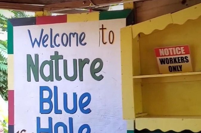 Private Dunns River Falls and Blue Hole from Montego Bay Tour - Who Should Book This Tour (And Who Should Think Twice)