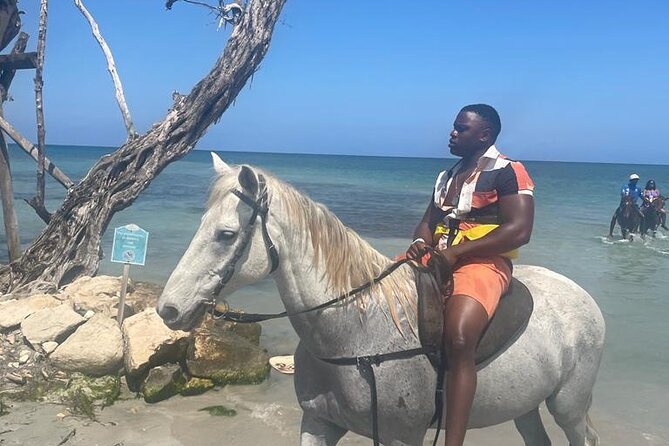 Private Dunns River Falls and Horse Back Riding - From Montego Bay to Dunn’s River, then straight into horseback riding