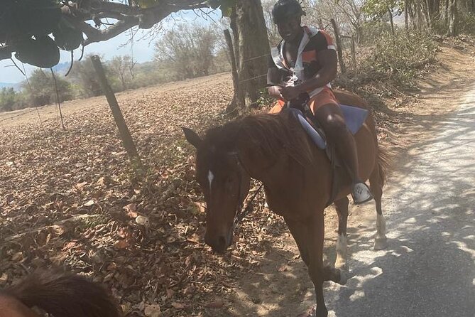 Private Dunns River Falls and Horse Back Riding - The drive and scenic stops: small moments that make the day feel fuller