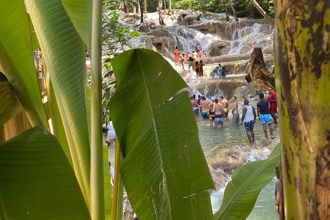 Private Dunns River Falls and Horse Back Riding - Who should book this private combo, and who should skip it