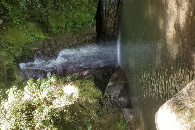 Private Guided Group Full-Day Water Tour fr Kingston to Portland - Reach Falls: the day’s main water moment, with pay-on-site clarity