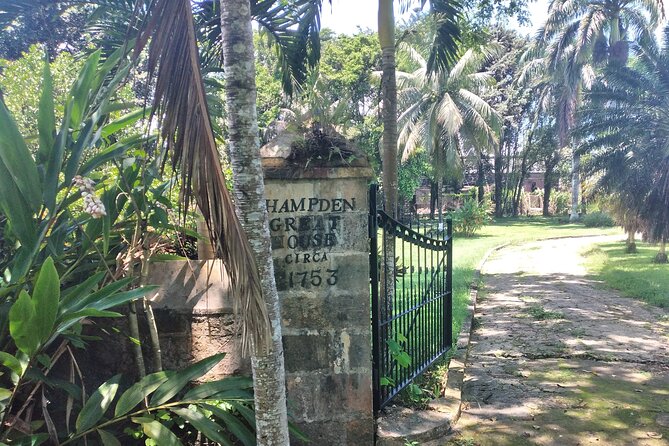 Private Hampden Estate Rum Tour from Montego Bay or Falmouth - Fermentation to distillation, the practical meaning