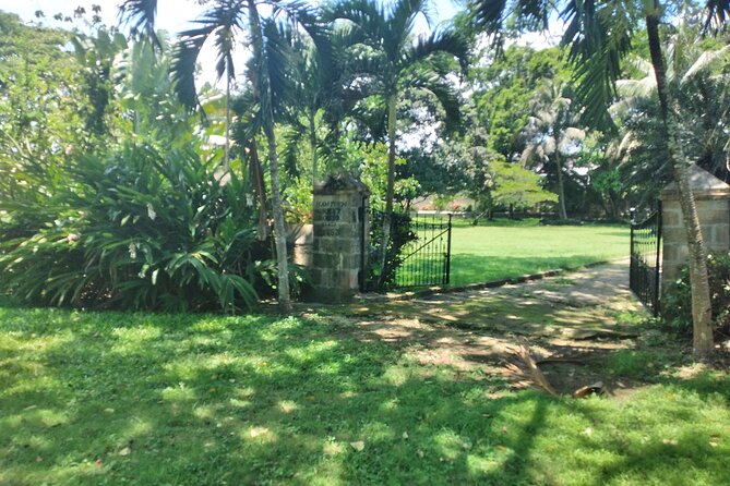 Private Hampden Estate Rum Tour from Montego Bay or Falmouth - Tips to get the most from Hampden Estate