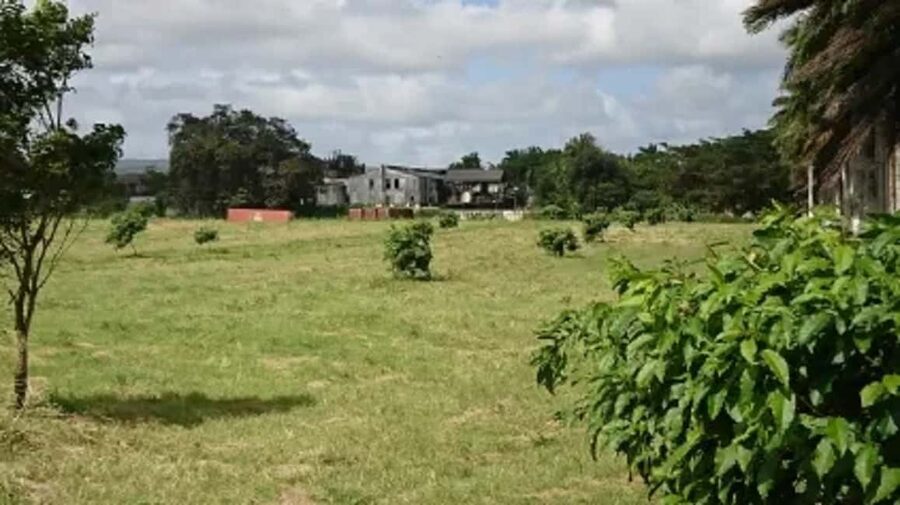 Private Hampden Estate Rum Trip from Montego Bay - Why this Hampden Estate rum trip feels different from the usual Jamaica day