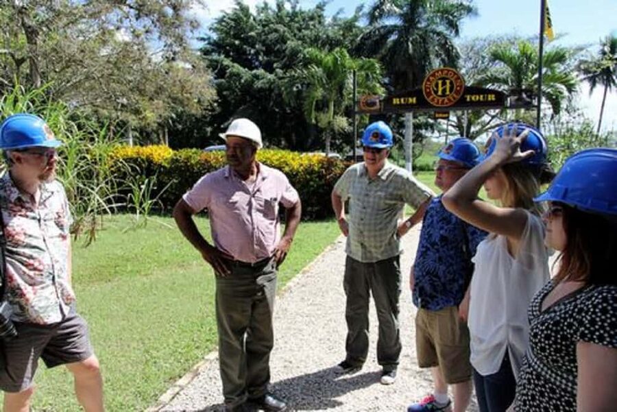 Private Hampden Estate Rum Trip from Montego Bay - The distillery visit: what you’re there to learn and what to expect on-site
