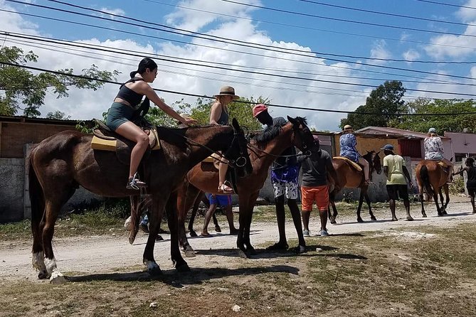 Private Horseback Riding from Ocho Rios with Guide - What to watch for: horse comfort and the “looks can be different” reality