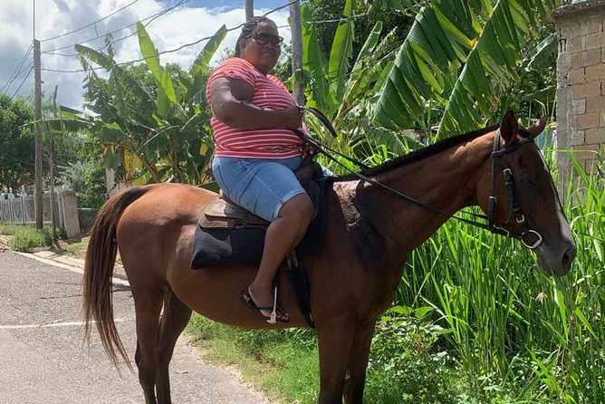 Private Horseback Riding from Ocho Rios with Guide - Price and what you actually get for $140 per person