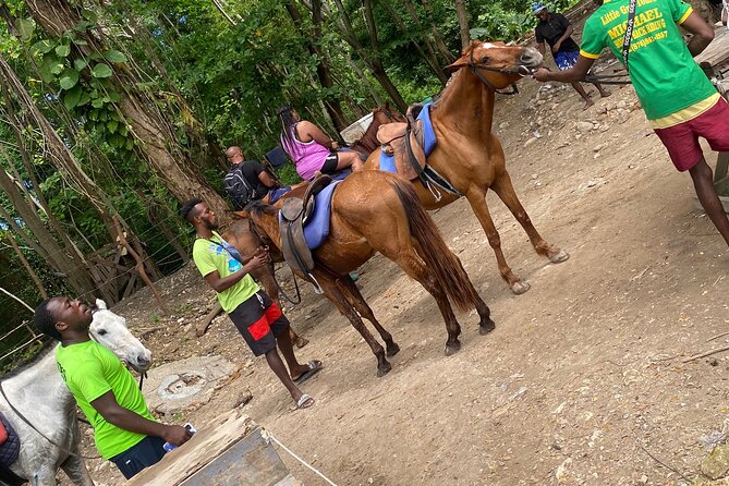 Private Horseback Riding with Blue Hole River Tour in Montego Bay - What the 4-Hour Schedule Really Means for Your Time