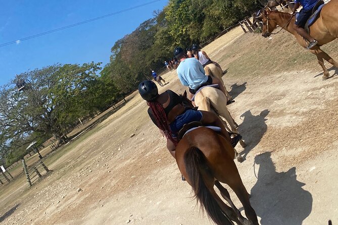 Private Horseback Riding with Blue Hole River Tour in Montego Bay - Blue Hole River Stop: Safe Water Fun and Climbing for Photos