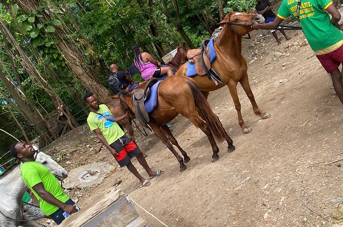 Private Horseback Riding with Blue Hole River Tour in Montego Bay - Drivers and Guides: The People Who Make the Day Feel Easy