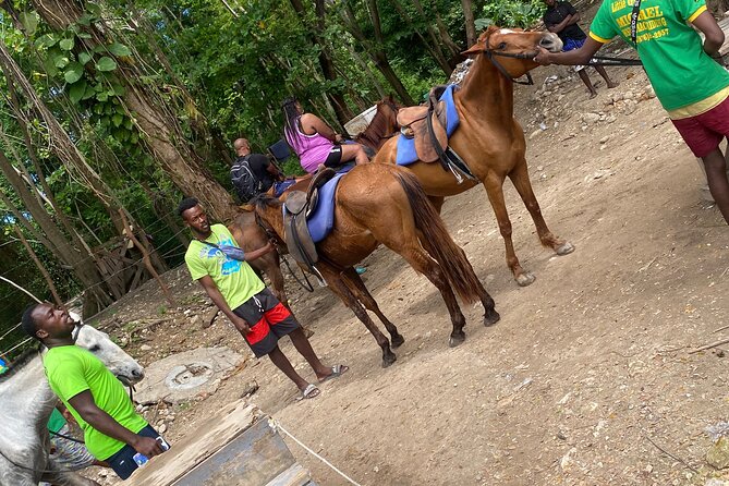 Private Horseback Riding with Blue Hole River Tour in Montego Bay - Price and Value: When $80 Feels Like a Deal