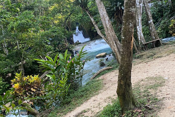 Private Horseback Riding with Blue Hole River Tour in Montego Bay - Who This Tour Is Best For (and Who Should Think Twice)
