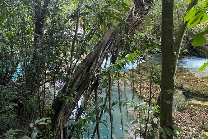 Private Horseback Riding with Blue Hole River Tour in Montego Bay - Discover Bay Horseback Riding: Beach Time and Bird Interactions