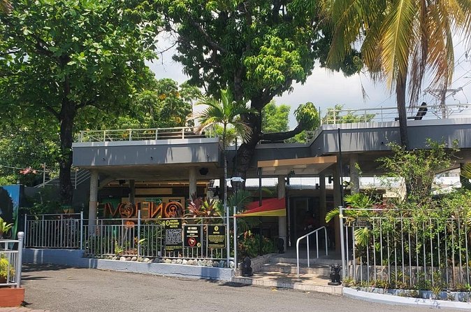 Private Kingston and Bob Marley Museum Tour from Ocho Rios - Price and timing: is $125 per person good value?