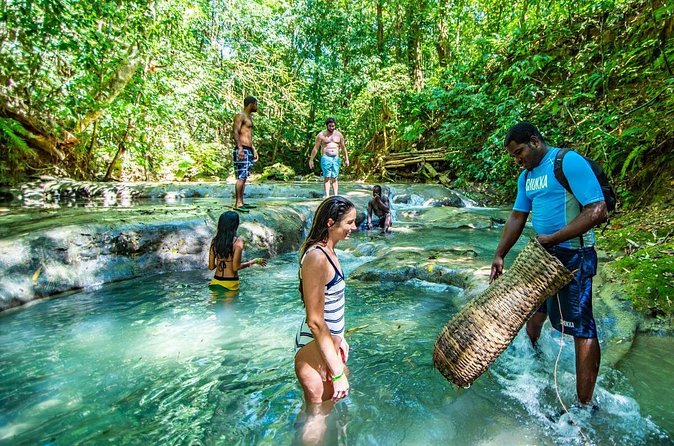 Private Mayfield Falls Waterfalls Tour [ Transportation ] - Entering Mayfield Falls & Mineral Springs Original: time to swim and explore