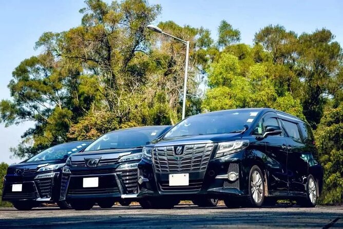 Private Montego Bay Airport Transfer (Select Hotel Option) - Key Points You Actually Care About