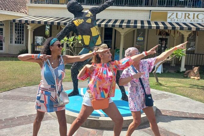 Private Montego Bay Airport Transfer to Riu Palace Aquarelle - Who should book this transfer, and who might need something else