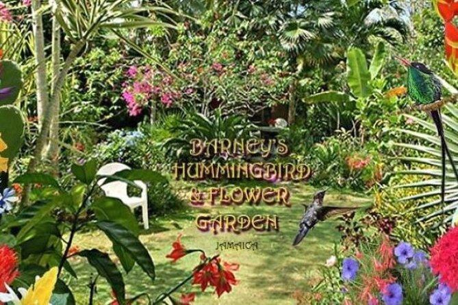 Private Negril Highlights Tour - Stop 5: Barneys Flower and Hummingbird Garden for a Calm Break