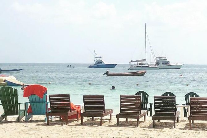 [PRIVATE] Negril Sightseeing Tour with RickS Cafe Cliff Diving - Private Negril Sightseeing in 4 to 6 Hours: A stress-free way to get the lay of the land